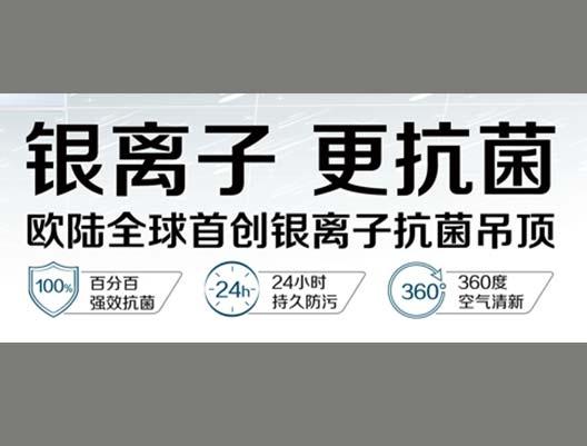 歐陸銀離子抗菌吊頂，為您營造健康生活空間